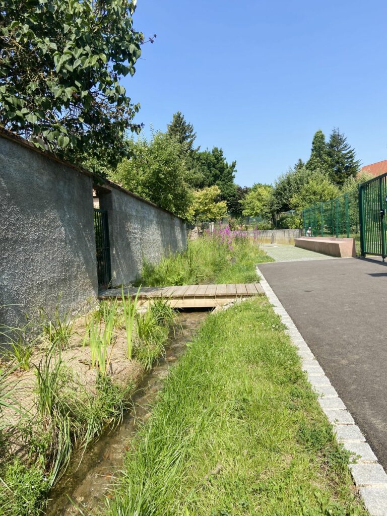 Chemin de la Liess à Kuttolsheim